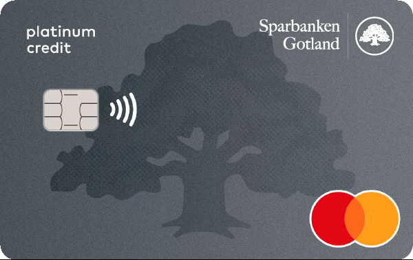 Betal- och kreditkort Mastercard Platinum